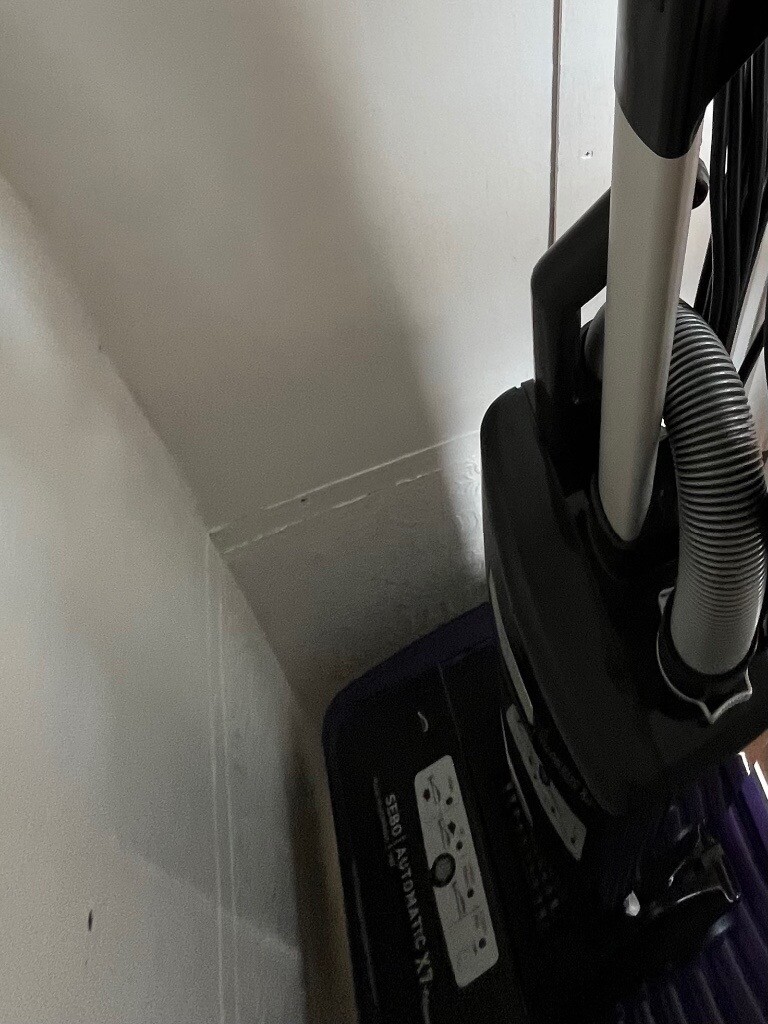 Sebo Automatic x7 Pet hoover | in 